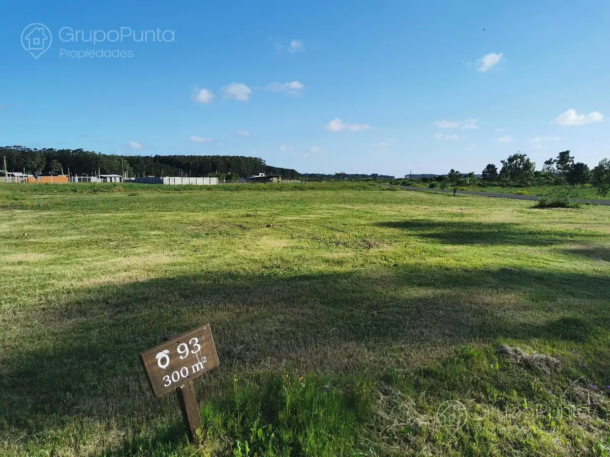 D_NQ_NP_2X_727173-MLU110841805963_042026-F (1).webp